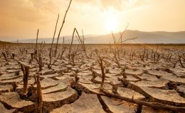 İklim krizine karşı yapabileceğiniz 5 şey