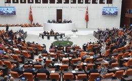 Sokak hayvanları yasa tasarısının 5 maddesi kabul edildi