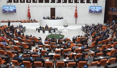 Sokak hayvanları yasa tasarısının 5 maddesi kabul edildi