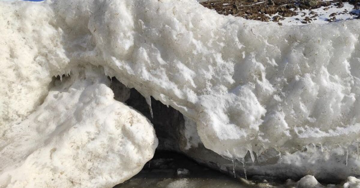 4 ilde sulak alanlar buz tuttu!